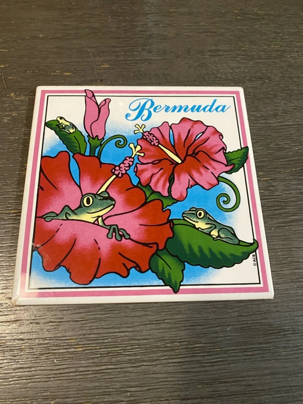 Hibiscus Frog Decorative Tile